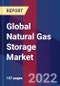 Global Natural Gas Storage Market Size, Share, Growth Analysis, By Type, By Region - Industry Forecast 2022-2028 - Product Image