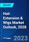 Hair Extension & Wigs Market Outlook, 2028 - Product Thumbnail Image