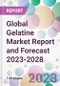 Global Gelatine Market Report and Forecast 2023-2028 - Product Thumbnail Image