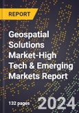 2024 Global Forecast for Geospatial Solutions Market (2025-2030 Outlook)-High Tech & Emerging Markets Report- Product Image