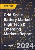 2024 Global Forecast for Grid-Scale Battery Market (2025-2030 Outlook)-High Tech & Emerging Markets Report- Product Image