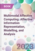 Multimodal Affective Computing: Affective Information Representation, Modelling, and Analysis- Product Image