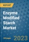 Enzyme Modified Starch Market Outlook and Growth Forecast 2023-2030: Emerging Trends and Opportunities, Global Market Share Analysis, Industry Size, Segmentation, Post-COVID Insights, Driving Factors, Statistics, Companies, and Country Landscape - Product Image