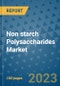 Non starch Polysaccharides Market Outlook and Growth Forecast 2023-2030: Emerging Trends and Opportunities, Global Market Share Analysis, Industry Size, Segmentation, Post-COVID Insights, Driving Factors, Statistics, Companies, and Country Landscape - Product Image