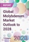 Global Molybdenum Market Outlook to 2028 - Product Image
