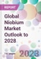 Global Niobium Market Outlook to 2028 - Product Thumbnail Image