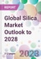 Global Silica Market Outlook to 2028 - Product Image
