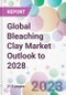Global Bleaching Clay Market Outlook to 2028 - Product Image