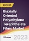 Biaxially Oriented Polyethylene Terephthalate (BOPET) Films Market: Trends, Opportunities and Competitive Analysis 2023-2028 - Product Image