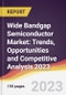 Wide Bandgap Semiconductor Market: Trends, Opportunities and Competitive Analysis 2023-2028 - Product Image
