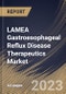 LAMEA Gastroesophageal Reflux Disease Therapeutics Market Size, Share & Industry Trends Analysis Report by Type, Country and Growth Forecast, 2022-2028 - Product Thumbnail Image