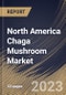 North America Chaga Mushroom Market Size, Share & Industry Trends Analysis Report by Nature, Form, End Use, Country and Growth Forecast, 2022-2028 - Product Image