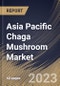 Asia Pacific Chaga Mushroom Market Size, Share & Industry Trends Analysis Report by Nature, Form, End Use, Country and Growth Forecast, 2022-2028 - Product Image