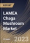 LAMEA Chaga Mushroom Market Size, Share & Industry Trends Analysis Report by Nature, Form, End Use, Country and Growth Forecast, 2022-2028 - Product Thumbnail Image