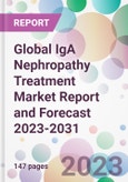 Global IgA Nephropathy Treatment Market Report and Forecast 2023-2031- Product Image