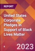 United States Corporate Pledges in Support of Black Lives Matter- Product Image