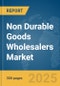 Non Durable Goods Wholesalers Market Report 2025 - Product Thumbnail Image