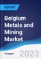 Belgium Metals and Mining Market Summary, Competitive Analysis and Forecast to 2027 - Product Image
