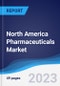 North America Pharmaceuticals Market Summary, Competitive Analysis and Forecast to 2027 - Product Thumbnail Image
