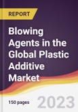 Blowing Agents in the Global Plastic Additive Market: Trends, Opportunities and Competitive Analysis 2023-2028- Product Image