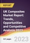 UK Composites Market Report: Trends, Opportunities and Competitive Analysis 2023-2028 - Product Thumbnail Image
