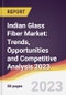 Indian Glass Fiber Market: Trends, Opportunities and Competitive Analysis 2023-2028 - Product Image