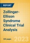 Zollinger-Ellison Syndrome (Gastrinoma) Clinical Trial Analysis by Trial Phase, Trial Status, Trial Counts, End Points, Status, Sponsor Type and Top Countries, 2023 Update - Product Image