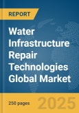 Water Infrastructure Repair Technologies Global Market Report 2024- Product Image