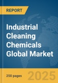 Industrial Cleaning Chemicals Global Market Report 2024- Product Image