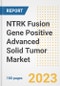 NTRK Fusion Gene Positive Advanced Solid Tumor Market Analysis, 2023 - Industry Trends, Market Size, Growth Opportunities, Market Share, Forecast by Types, Applications, Countries, and Companies, 2018 to 2030 - Product Image