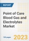 Point of Care Blood Gas and Electrolytes Market Analysis, 2023 - Industry Trends, Market Size, Growth Opportunities, Market Share, Forecast by Types, Applications, Countries, and Companies, 2018 to 2030 - Product Image