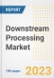 Downstream Processing Market Analysis, 2023 - Industry Trends, Market Size, Growth Opportunities, Market Share, Forecast by Types, Applications, Countries, and Companies, 2018 to 2030 - Product Image