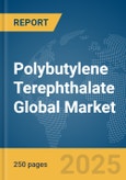 Polybutylene Terephthalate (PBT) Global Market Report 2025- Product Image