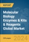 Molecular Biology Enzymes & Kits & Reagents Global Market Report 2024 - Product Image