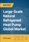 Large-Scale Natural Refrigerant Heat Pump Global Market Report 2024 - Product Image