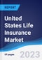 United States (US) Life Insurance Market Summary, Competitive Analysis and Forecast to 2027 - Product Thumbnail Image