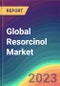 Global Resorcinol Market Analysis: Plant Capacity, Production, Operating Efficiency, Demand & Supply, End-User Industries, Sales Channel, Regional Demand, Company Share, Foreign Trade, 2015-2032 - Product Image