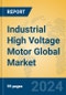 Industrial High Voltage Motor Global Market Insights 2024, Analysis and Forecast to 2029, by Manufacturers, Regions, Technology, Application, Product Type - Product Image