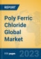 Poly Ferric Chloride Global Market Insights 2023, Analysis and Forecast to 2028, by Manufacturers, Regions, Technology, Application, Product Type - Product Image
