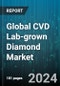 Global CVD Lab-grown Diamond Market by Type (Polished, Rough), Color (Colored, Colorless), Size, Application - Forecast 2024-2030 - Product Image