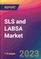 SLS and LABSA Market Size, Market Share, Application Analysis, Regional Outlook, Growth Trends, Key Players, Competitive Strategies and Forecasts, 2023 to 2031 - Product Image