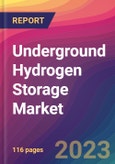 Underground Hydrogen Storage Market Size, Market Share, Application Analysis, Regional Outlook, Growth Trends, Key Players, Competitive Strategies and Forecasts, 2023 to 2031- Product Image