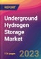 Underground Hydrogen Storage Market Size, Market Share, Application Analysis, Regional Outlook, Growth Trends, Key Players, Competitive Strategies and Forecasts, 2023 to 2031 - Product Image