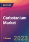 Carbotanium Market Size, Market Share, Application Analysis, Regional Outlook, Growth Trends, Key Players, Competitive Strategies and Forecasts, 2023 to 2031 - Product Thumbnail Image