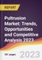 Pultrusion Market: Trends, Opportunities and Competitive Analysis 2023-2028 - Product Image