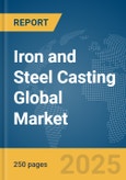 Iron and Steel Casting Global Market Report 2025- Product Image