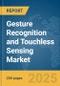 Gesture Recognition and Touchless Sensing Market Report 2025 - Product Image