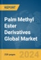 Palm Methyl Ester Derivatives Global Market Report 2024 - Product Image