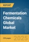 Fermentation Chemicals Global Market Report 2025 - Product Thumbnail Image