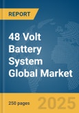 48 Volt Battery System Global Market Report 2025- Product Image